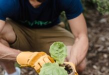 Earth Day Activities for the Whole Family to Enjoy and Make an Impact A person planting a plant in the soil.