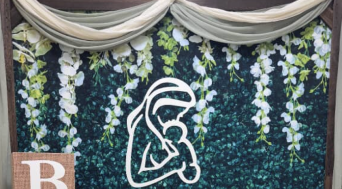 New Kids on the Block: November/December 2025